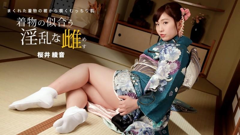 1Pondo-010822_001 – Nasty Female Who Looks Good In Kimono Ayane Sakurai